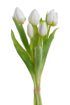 Svazek tulipánů (5 ks) - bílá 30 cm – fotka 2