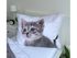 Povlečení Kitten grey 140x200, 70x90 cm – fotka 2
