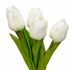 Tulipán pěnový (5 ks) - bílá se zeleným nádechem 30 cm – fotka 1