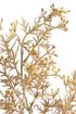 Umělá větvička broom bloom 76 cm - žlutohnědá