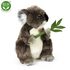 Plyšová koala 30 cm ECO-FRIENDLY