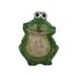 Dekorace žába X8106/3