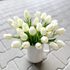 Tulipán pěnový (5 ks) - bílá se zeleným nádechem 30 cm – fotka 3