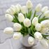Tulipán pěnový (5 ks) - bílá se zeleným nádechem 30 cm – fotka 2