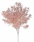 Trs rostlina s drobnými lístky - starorůžová