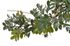 Rostlina girlanda buxus 180 cm - zelená – fotka 1