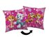 Polštářek Paw Patrol Flower power 40x40 cm – fotka 1