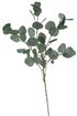 Eukalyptus 90 cm - zelená tmavší 90cm