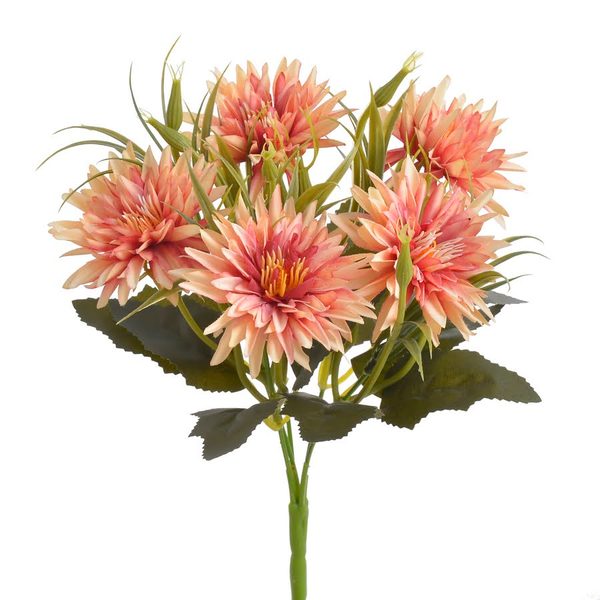 Umělá astra žíhaná meruňková/červená