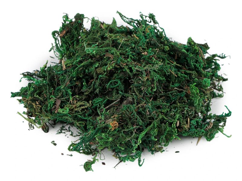 Dekorační mech 25 g