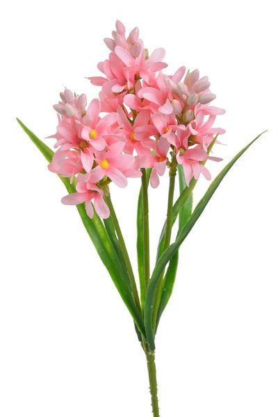 Hyacint - růžová 30 cm