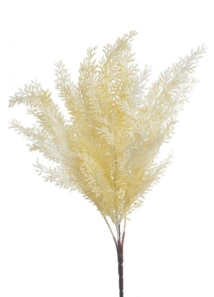 Vřesovec trs 5 větviček - krémová