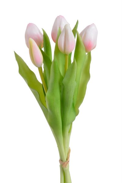 Svazek tulipánů (5 ks) - bílorůžová