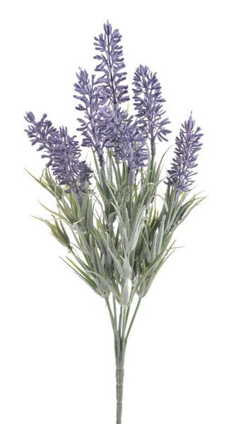 Trs levandule trs x7