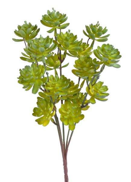 Umělé sukulenty 30 cm - Canea – Bexis.cz