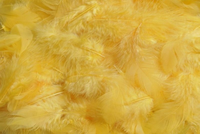 Peří žloutkové 10 g