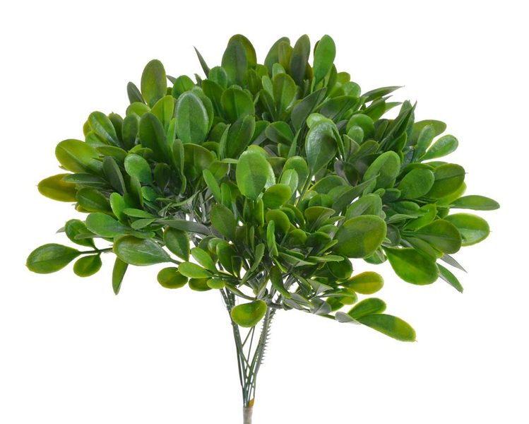 Buxus svazek - zelená 25 cm