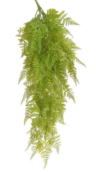 Kapradí převislé trs 9 větviček - zelená