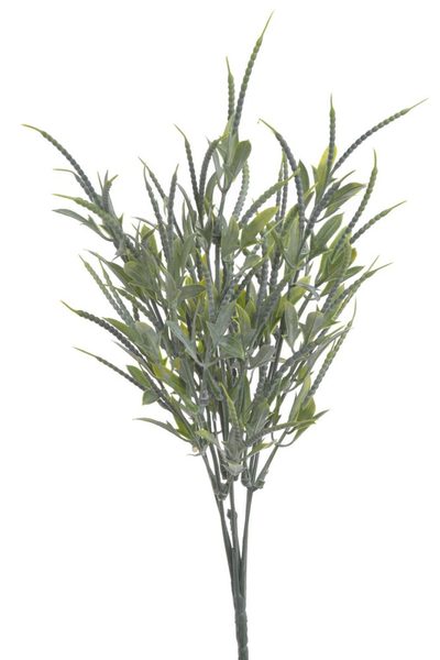 Trs lístků s mini lusky - zelená