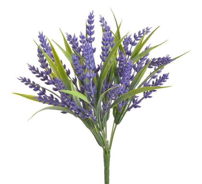 Levandule trs 31 cm