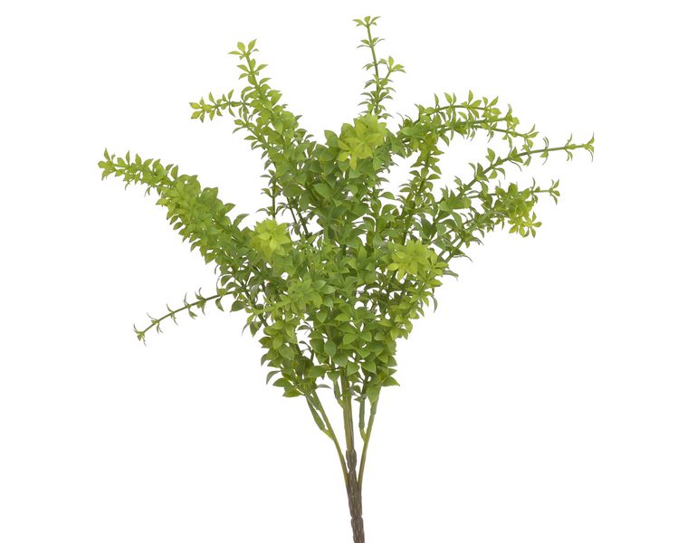 Drobnolistá rostlina 43 cm - zelená