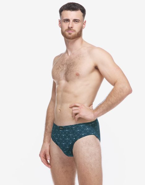 GINA pánské slipy se širším bokem, širší bok, šité, s potiskem 71139P