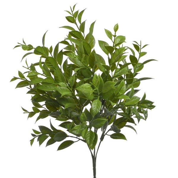 Umělý ruscus - zelená 36 cm