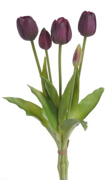 Tulipán 40 cm 5 ks - švestková