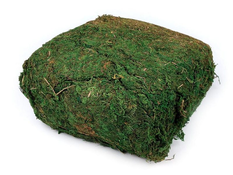 Dekorační přírodní mech 450 g