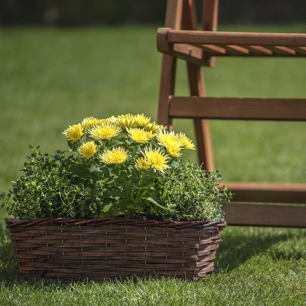 Květináč ovál hnědý P0992/5 - 60 x 19 x 14 cm