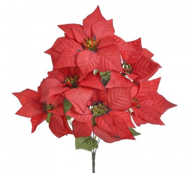 Buket vánoční hvězda - červená 40 cm - Canea – Bexis.cz