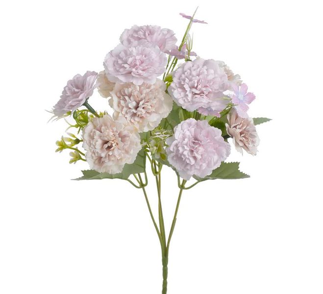 Karafiáty trs 30 cm - růžová