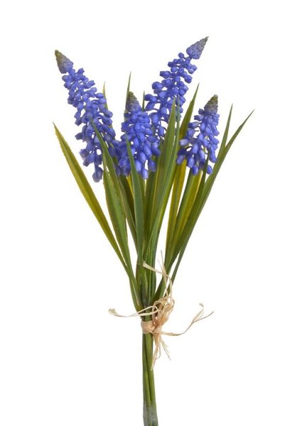 Modřenec ( 4 ks) - modrá 27 cm - Canea – Bexis.cz