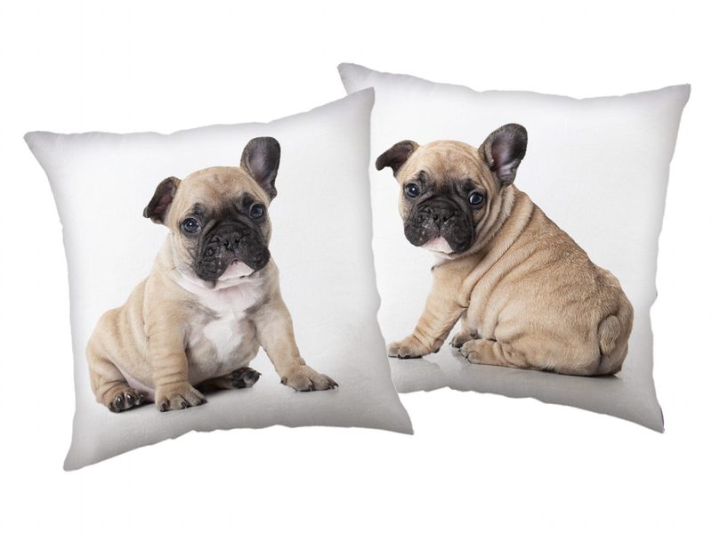Polštářek Bulldog 40x40 cm - Jerry Fabrics – Bexis.cz