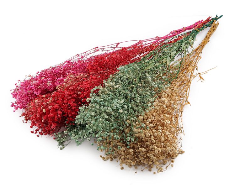 Stabilizovaný nevěstin závoj svazek