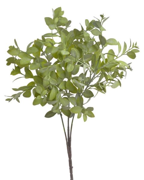 Dlouhý trs s listy 55 cm - zelená