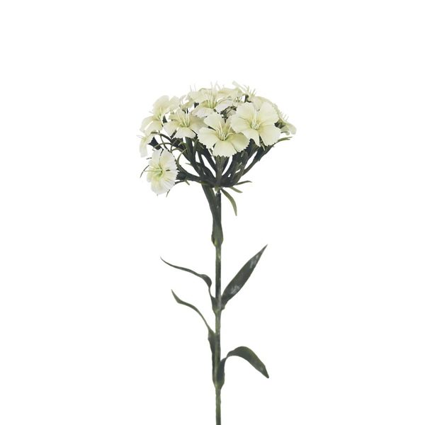 Hvozdík X6858-26 - 55 cm