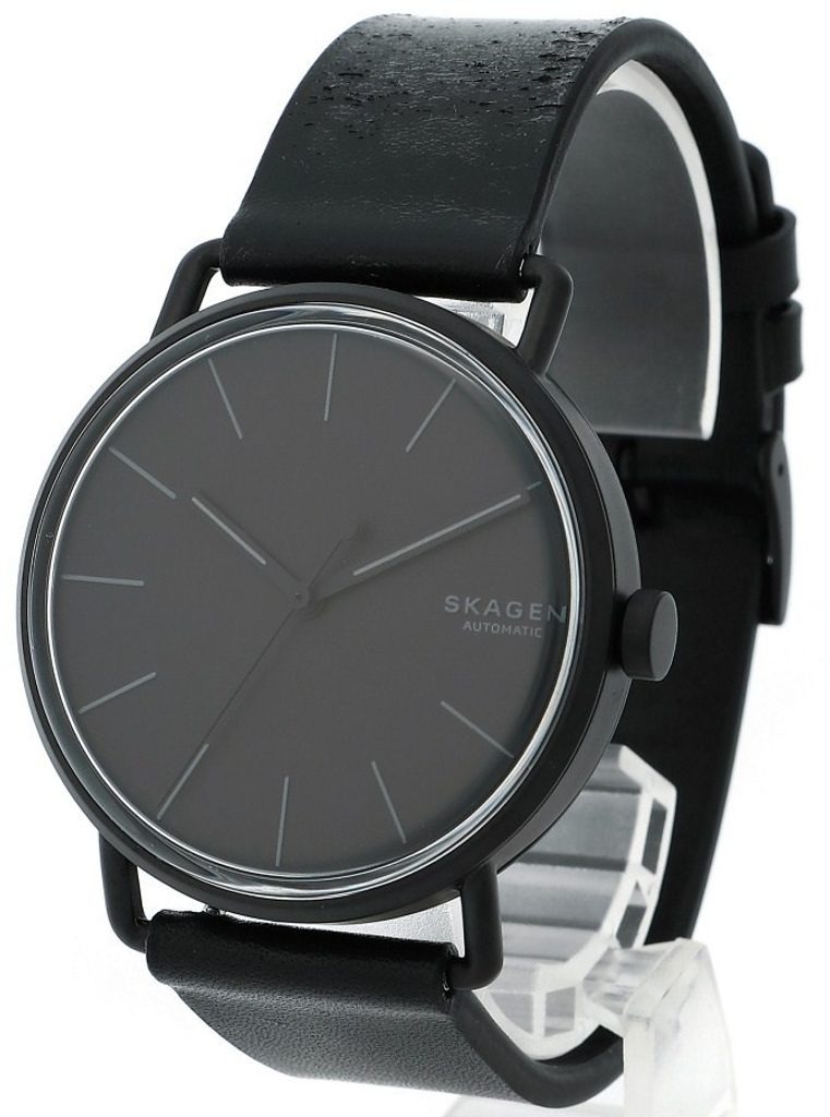 skagen skw6398