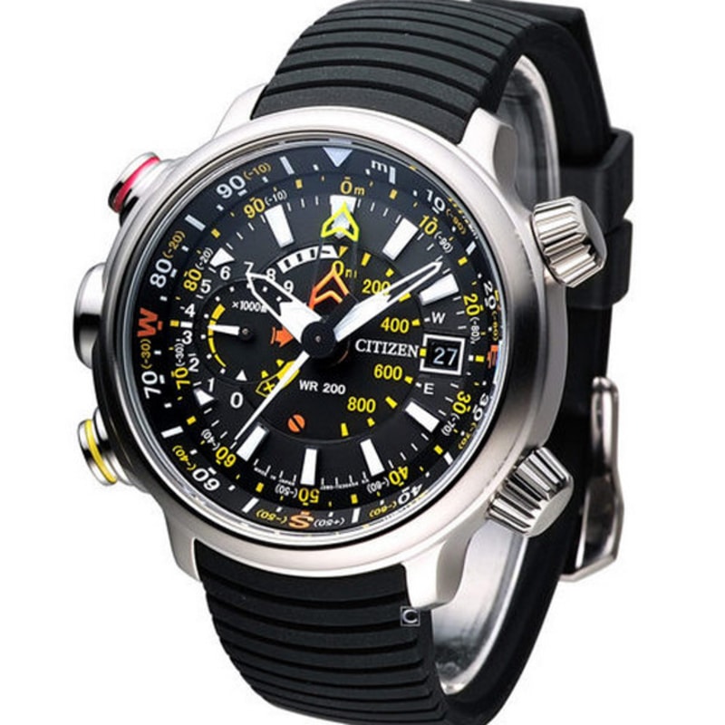 citizen promaster cena