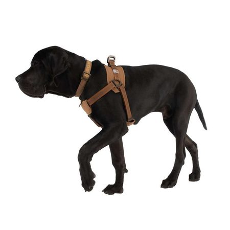 Postroj pro psa Carhartt - P000341 211CARGO SERIES NYLON RIPSTOP WORK DOG HARNESS