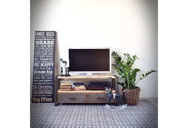 TV stolek Steel wood se dvěma šuplíky