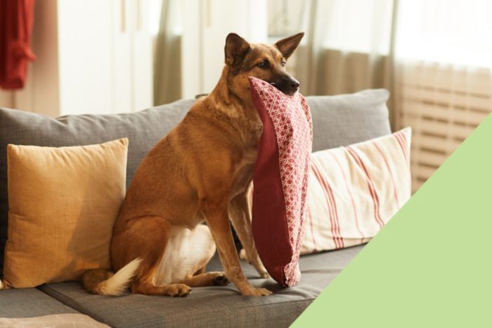 Chcete doma pohodlí? Vyzkoušejte dekorační polštáře