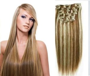 CLIP-IN- 100% Lidské vlasy k prodloužení REMY, melír 4/613 40cm