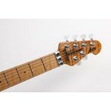 Music Man USA - Axis - Honey Pot - Flame - elektrická kytara - 1ks