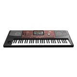 Korg Pa700 Professional Arranger Keyboard - workstation