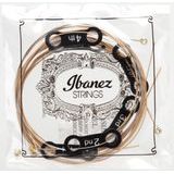 IBANEZ - IACSP61C - Phosphor Bronze Coated - .010" - .047 - Light - " potažené " struny na akustickou kytaru - 1ks