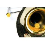 MusicNomad MN762 Premium Trombone Snake Brush - čistící kartáček - 1ks