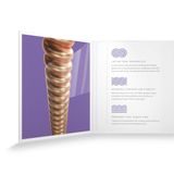 D´Addario XSAPB1152 Phosphor Bronze - " potažené " struny na akustickou kytaru - 1ks