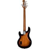 Sterling by MusicMan Bass - StingRay - RAY34 - Spalted Maple - 3-Tone Sunburst - basová kytara - 1ks