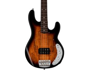 StingRay RAY34 Spalted Maple 3-Tone Sunburst